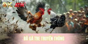 Đá Gà Tre Truyền Thống - Những Cuộc Giao Tranh Gay Cấn