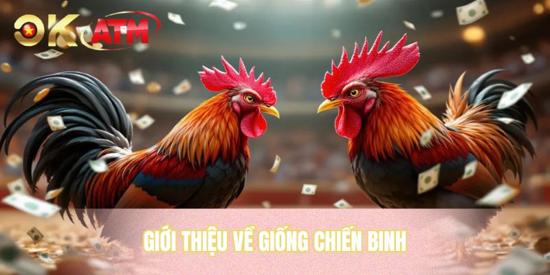 Giới thiệu về giống chiến binh