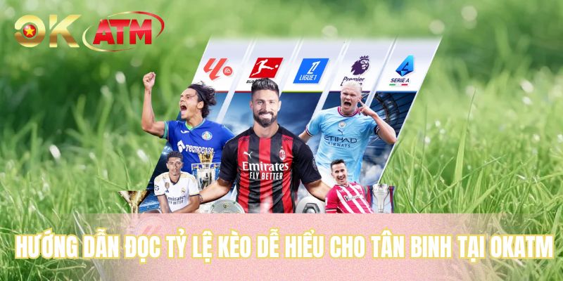 Hướng dẫn đọc tỷ lệ kèo dễ hiểu cho tân binh tại OKATM