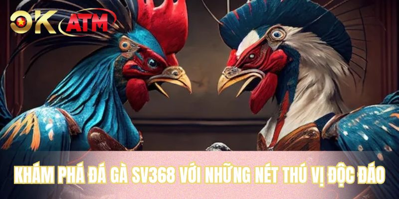 Khám phá đá gà SV368 với những nét thú vị độc đáo