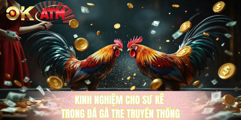 Kinh nghiệm cho sư kê trong đá gà tre truyền thống