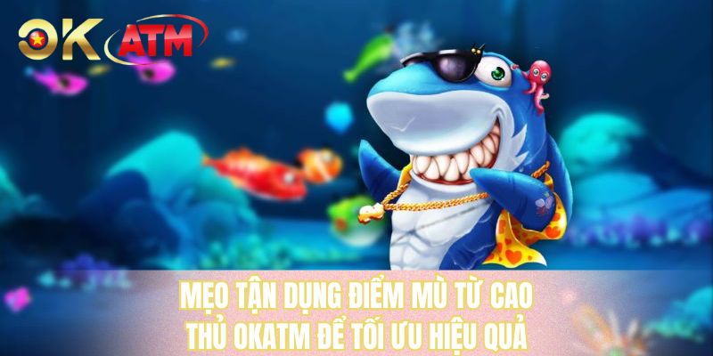 Mẹo tận dụng điểm mù từ cao thủ OKATM để tối ưu hiệu quả