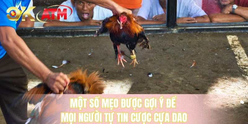Một số mẹo được gợi ý để mọi người tự tìm cược cựa dao 