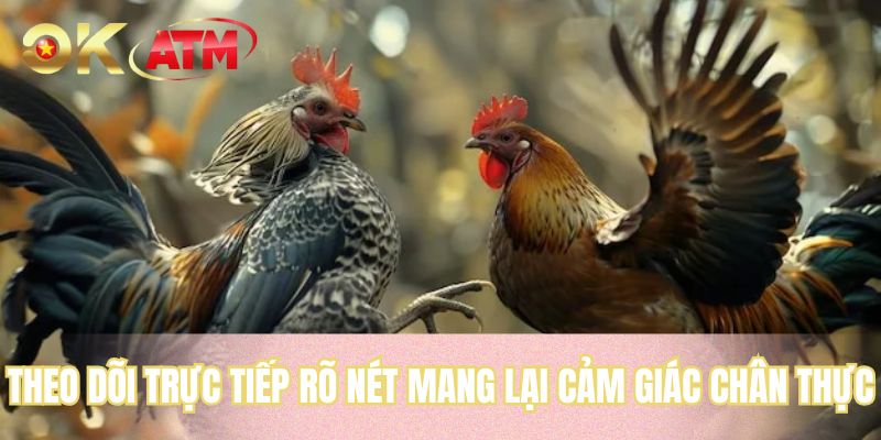 Theo dõi trực tiếp rõ nét mang lại cảm giác chân thực