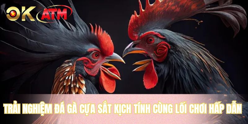Trải nghiệm đá gà cựa sắt kịch tính cùng lối chơi hấp dẫn